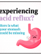 Acid Reflux: Natural Relief And Prevention