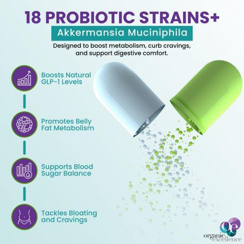 OE Essentials GLP-1 Probiotic Support - Image 12