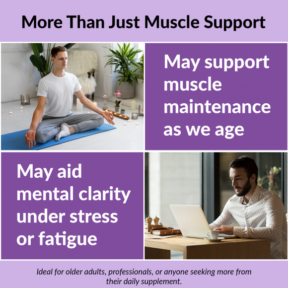 OE Essentials Creatine - Image 7