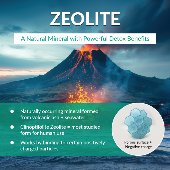 OE Essentials Zeolite - Image 8